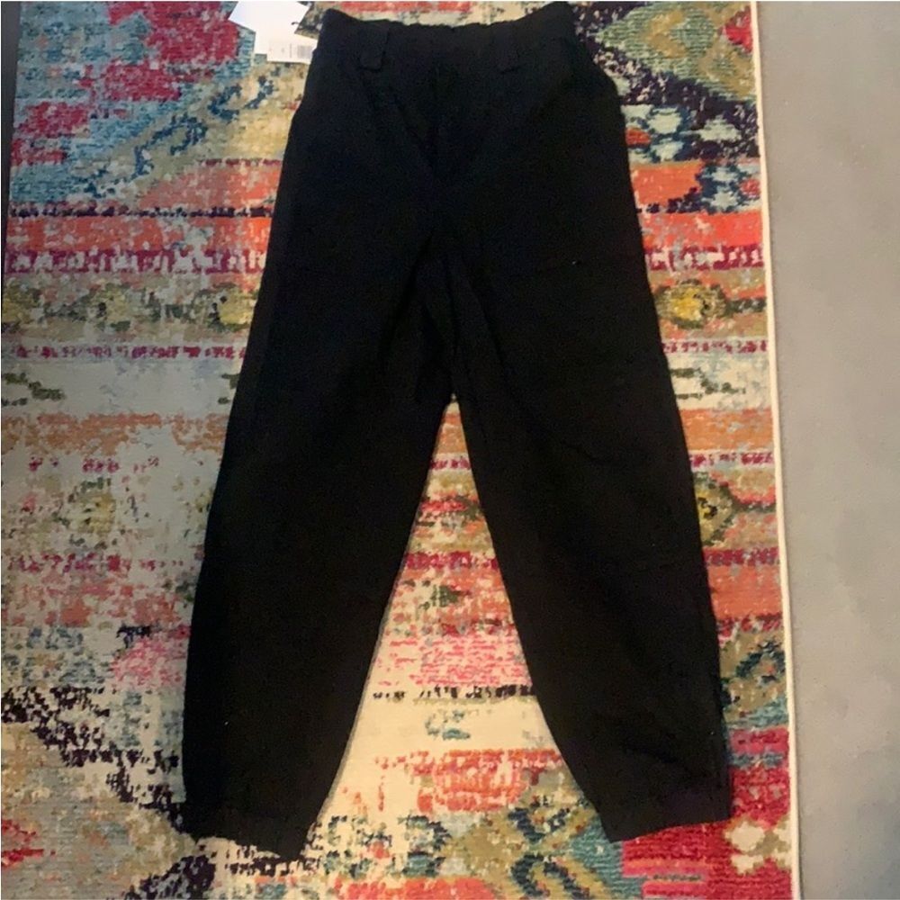 NWT Aritzia Jogger